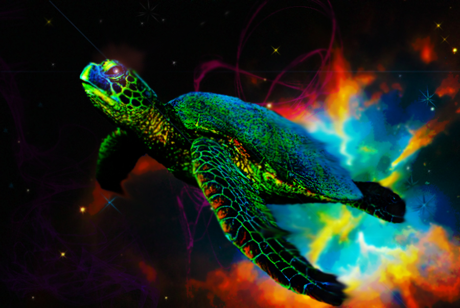 Dreams of A Cosmic Turtle